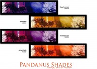 /album/gallery-two/pandanus-shades-1-jpg/
